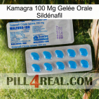 Kamagra 100 Mg Gelée Orale Sildénafil new15